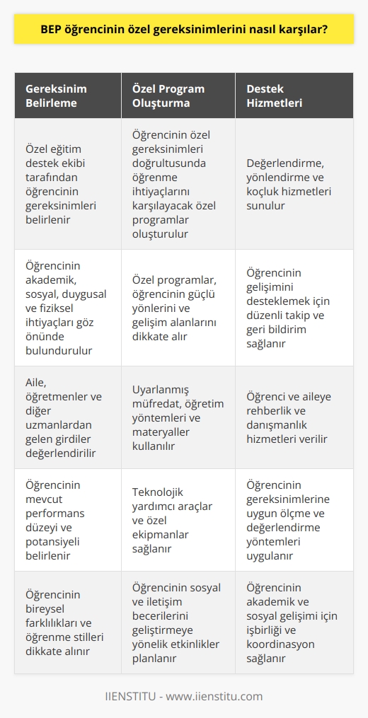 BEP öğrencilerinin özel gereksinimlerini karşılamak için okullar, personel ve öğrencilere çeşitli destekler sağlamaktadır. Öncelikle okulun özel eğitim destek ekibi tarafından öğrencinin gereksinimleri belirlenmelidir. Ekip, öğrencinin özel gereksinimleri doğrultusunda öğrencinin öğrenme ihtiyaçlarını karşılayacak özel programlar oluşturur. Öğrenciye özel olarak destek oluşturmak için özel eğitim destek ekibi öğrencinin gereksinimlerini karşılayan özel programlar, materyaller, teknolojiler,    ve stratejiler kullanır. Ayrıca, öğrencilerin özel gereksinimlerini desteklemek için özel eğitim destek ekibi öğrenciye özel olarak değerlendirme, yönlendirme ve koçluk hizmetleri sunar.