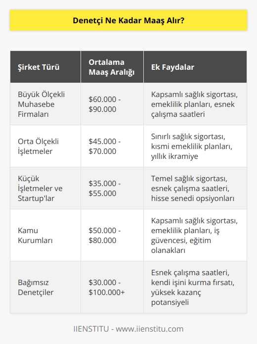 Denetçi maaşları her şirkete göre farklılık gösterir. Bazı şirketler bir denetçiyi ortalama 40.000$ ile 75.000$ arasında bir maaşla ödemektedir.