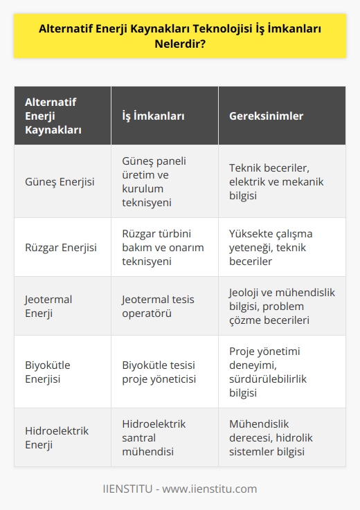Enerji üretim şirketleri ve dağıtım şirketleri iş imkanı olan alanlardır. Alternatif Enerji kaynakları programını başarıyla tamamlayan öğrenciler için Kamu Personeli Seçme Sınavı ile devlet memuru olma ihtimali azdır. Çünkü bölüme özel kadro açılmamaktadır. 