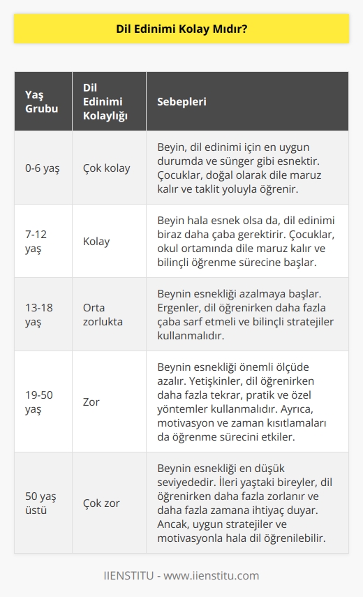 Altı yaşındaki bir çocuk çok rahat bir şekilde 7 dil öğrenebilir. Çünkü beyni o yaşta sünger gibidir ve dil edinimi için en iyi haldedir. Peki yetişkinler neden dil edinirken bu kadar zorlanır?