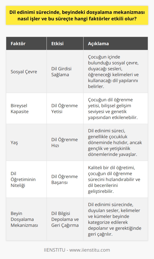 Dil edinimi sürecinde, beyindeki dosyalama mekanizması; dil öğrenme eylemi sırasında duyulan seslerin, kelimelerin ve kümelerin beyinde kategorize edilerek depolanması ve gerektiğinde bu bilgilerin geri çağrılması şeklinde işler. Bu süreç sonucunda kişi, konuşma ve dil yeteneğine sahip olur.  Bu süreçte birden fazla faktör etkilidir. İlk olarak, çocuğun içinde bulunduğu sosyal çevrenin dil öğrenme sürecinde önemli bir etkisi vardır. Bu çevre, çocuğun duyacağı seslerin, öğreneceği kelimelerin ve kullanacağı dil yapılarının belirlenmesinde ana etken olan bir kaynaktır. İnsan beynini çevreden gelen dil bilgisi ile besler ve bu bilgiyi depolar.  İkinci olarak, çocuğun bireysel kapasitesi, beynin dil öğrenme mekanizmasını çalıştırmada önemli bir faktördür. Yani, çocuğun dil öğrenme yetisi, çocuğun bilişsel gelişim seviyesi ve genetik yapısından da etkilenebilir.   Üçüncü olarak, çocuğun yaşı, çocuğun yeni bir dil öğrenme kabiliyetini belirler. Dil edinimi süreci, genellikle çocukluk döneminde hızlıdır ve çocuğun beyni yeni dil bilgilerini hızla öğrenir ve depolar. Ancak, bu süreç gençlik ve yetişkinlik dönemlerinde yavaşlar.   Son olarak, dil öğretiminin niteliği, çocuğun dil öğrenme yeteneğini belirler. Kaliteli bir dil öğretimi, çocuğun dil öğrenme sürecini hızlandırabilir ve çocuğun dil becerilerini geliştirebilir.   Dil öğrenme sürecinde etkili olan tüm bu faktörler, insan beynindeki dil dosyalama mekanizmasının iyi bir şekilde çalışmasını ve dil edinim sürecinin başarılı olmasını sağlar. Bu bilgiler ışığında, dil öğrenmek ve çeşitliliği oluşturmak için gerekli olan çok sayıda faktörü anlamak, bireylerin ve toplumların dil becerilerini geliştirmek için önemli bir adımdır.