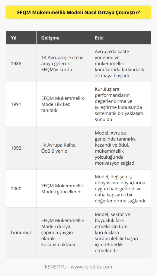 EFQM, kuruluşlara performanslarını iyileştirmesi konusunda yardımcı olmak üzere 1991 yılında EFQM Mükemmellik Modelini oluşturmuştur. 