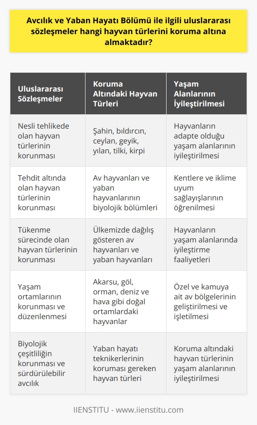 Uluslararası Sözleşmeler ve Koruma Altındaki Hayvan Türleri  Avcılık ve Yaban Hayatı Bölümü ile ilgili uluslararası sözleşmeler, nesli tehlikede olan, tehdit altında olan ve tükenme sürecinde olan hayvan türlerinin korunmasını amaçlamaktadır. Bu hayvan türleri arasında şahin, bıldırcın, ceylan, geyik, yılan, tilki ve kirpi gibi canlılar bulunmaktadır. Bu türlerin yaşamlarını sürdürebilmeleri için yaşam ortamlarının korunması ve düzenlenmesi de sözleşmelerin amaçları arasındadır.  Yaban Hayatı Teknikerleri ve Eğitim Programları  Avcılık ve Yaban Hayatı Bölümü, üniversitelerin meslek yüksekokulları programlarında verilen derslerle yaban hayatı teknikerleri yetiştirmeyi hedeflemektedir. Bu teknikerlerin yetiştirilmesi sürecinde, avcılık ve yaban hayatı yöneticilerine teknik ve teorik olarak yardımcı olabilecek beceri ve bilgiye sahip olmaları önemsenmektedir. İki yıllık örgün eğitim veren bu programlar, TYT puanı ile öğrenci kabul etmektedir.  Hayvan Türlerinin İzlenmesi ve Yaşam Alanlarının İyileştirilmesi  Avcılık ve Yaban Hayatı Bölümü, yaban hayvanlarının sayımı, üretimi, geliştirilmesi ve çeşitliliğinin izlenmesi için teknik çalışmalar yürütmektedir. Bu çalışmalar, ülkemizde dağılış gösteren av hayvanları ve yaban hayvanlarının biyolojik bölümlerini ve hangi doğal ortamlarda yetiştiği bilgisini içermektedir. Öğrencilere, hayvanların adapte olduğu yaşam alanlarına, kentlere ve iklime uyum sağlayışlarını öğreten bölüm, bu konularda hayvanların yaşam alanlarını iyileştirme faaliyetlerini de beklemektedir.  Özel ve Kamuya Ait Av Bölgelerinin Geliştirilmesi ve İşletilmesi  Avcılık ve Yaban Hayatı Bölümü, özel olarak hazırlanmış ya da kamuya ait olan av bölgelerinin geliştirilmesi ve işletilmesi görevlerini öğrencilerine vermektedir. Bu görevler, bölümün eğitim alanını oluşturan akarsu, göl, orman, deniz ve hava gibi doğal ortamlarda gerçekleştirilmektedir. Bu sayede, koruma altındaki hayvan türlerinin yaşam alanlarında iyileştirme faaliyetleri yapılarak, biyolojik çeşitliliğin korunması ve sürdürülebilir avcılık hedeflenmektedir.