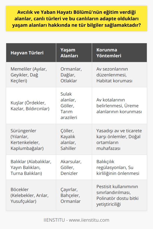 Avcılık ve Yaban Hayatı Bölümü, bir dizi hayvan ve bitki türünün avlanması, türlerin yaşam alanlarında gerçekleşen değişiklikler ve avlanmanın çevreye verdikleri zararlar hakkında bilgi verir. Bu bilgiler, insanların çevreyi korumayı ve avlanmayı sürdürülebilir bir şekilde gerçekleştirmeyi öğrenmelerine yardımcı olur.  Bölümün eğittiği alanlarında en önemli nokta, avcılığı doğru ve saygı ile yapmanın gerekliliğidir. Avcılığın doğru ve saygıyla yapılması, türlerin devamlılığı ve çevrenin korunması için hayati önem taşır. Bu bilgi, avcılık etiğine ve ve yiyeceği avlarken türlerin korunması gerekliliğine vurgu yapar.  Bölüm, öğrencilerinin memeliler, kuşlar ve sürüngenler gibi çeşitli türler hakkında derinlemesine bilgi sahibi olmalarını sağlar. Öğrencilere, bu türlerin yaşadığı çevreler ve nasıl hayatta kaldıkları konusunda bilgiler sunar. Buna ek olarak, bu türlerin diğer canlılara ve çevreye nasıl etki ettikleri ve nasıl korunmaları gerektiği hakkında bilgi verir.  Bunun yanı sıra, Bölüm ayrıca avcılığın ve vahşi yaşamın korunmasıyla ilgili uluslararası kanunlar ve düzenlemeler hakkında bilgi sağlar. Avcının ses dönemleri ve avlama yılı gibi konular hakkında bilgi verir ve bu bilgileri kullanarak avlama ve çevre koruma stratejileri geliştirme amacı güder.  Bölüm, yaban hayatını koruyacak tekniklerin öğretildiği ve bu konuda bilgi ve beceri sağladığı üniversite programlarında ders verir. Bu bilgiler, öğrencilere, yaban hayvanlarının nesillerini devam ettirme ve milli serveti koruma konusunda yardımcı olur.  Son olarak, Bölüm; yaban hayvanları, onların yaşam alanları ve nasıl başarıyla hayatta kalabilecekleri konusunda detaylı bilgiler sağlar. Ayrıca, hayvanların kendi çevrelerine nasıl adapte oldukları, nasıl beslendikleri ve iklim değişiklikleri konusunda nasıl hayatta kaldıkları gibi konularda bilgiler sunar.  Sonuçta, Avcılık ve Yaban Hayatı Bölümü; avcılığın sürdürülebilirliği, yaban hayatının korunması ve türlerin adaptasyonu gibi konularda bilgi ve beceri sağlar. Bu bilgiler, çevrenin ve hayvan türlerinin korunmasına yardımcı olmak ve avlanmanın çevreye yol açabileceği potansiyel zararları en aza indirmek için kullanılır. Bu bilgi ve beceri, son derece değerlidir ve hem bireylerin hem de toplumun genelinde avcılık ve vahşi yaşam koruma çabalarına yardımcı olur.