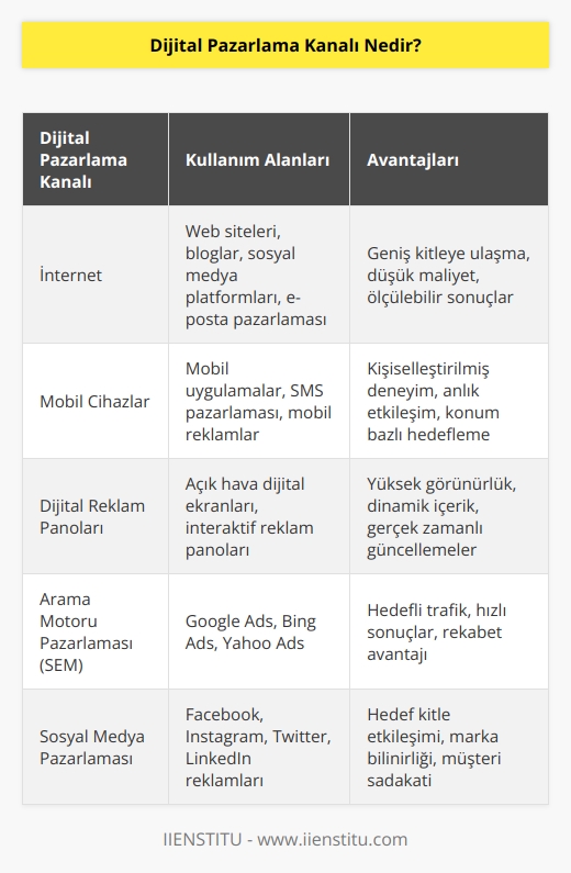 Ürünlerin, markaların bir veya daha fazla elektronik ortam biçimi aracılığıyla tanıtımını içermektedir. Örneğin, bir   nin    stratejisinin bir parçası olarak kullanılabilecek reklam araçları, internet,   , cep telefonları ve elektronik reklam panoları aracılığıyla yapılan tanıtım çabalarını içerebilmektedir. Dijital dünyada yapılan tüm tanıtımlarda kullanılan araçlara Dijital    denir.