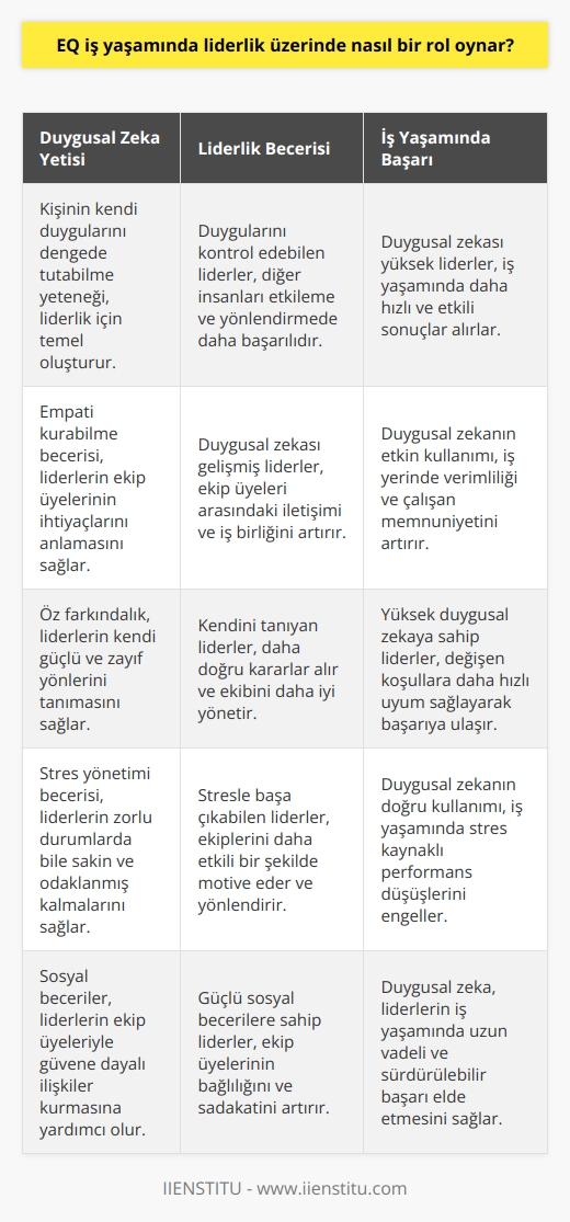 İş yaşamında başarının anahtarı, lider olma becerisidir ve bu beceri öncelikle kişinin yetisi ile başlar. Kişi kendi duygularının denge içinde yürütebildiği sürece diğer insanları etkisi altına almayı da başarabilir. Böylelikle yönetim sürecini sağlıkla yürütebilir ve iş yaşamında başarıya hızla ulaşmak için duyguların iyi yönetilmesi gerektiği akıllarda tutulmalıdır.