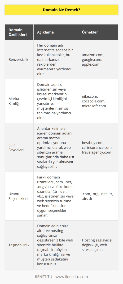Domain yani alan adı, kullanıcıların web sitenizi ziyaret etmek için tarayıcı URL çubuğuna yazdıkları web sitenizin adresidir. Basit bir ifadeyle, web siteniz bir evse alan adınız da ev adresinizdir. Domain, işletmenizi veya webdeki kişisel markanızı temsil ettiğinden çok önemlidir.