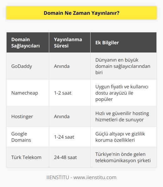 Domain genellikle anında yayınlanır. Bazı durumlarda, domain satın alındıktan sonra özel alan adı sunucularının güncellenmesi gerekebilir. Bu, genellikle birkaç saat alır.