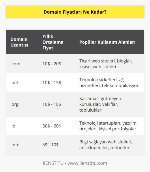 Domain fiyatları her alan adı kayıt şirketinden farklı olabilir. Bazı şirketler ücretsiz domain sunarken, diğerleri ortalama 10 dolardan başlayarak günlük olarak çok sayıda farklı alan adı kayıt seçeneği sunmaktadır.