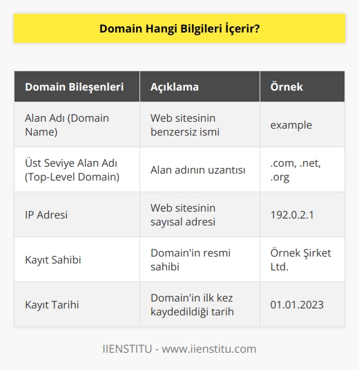 Domain, bir web sayfasına ait alan adı olup web sayfasının kimliğini belirten bir dize olarak tanımlanır. Domain, bir alan adının uzantısını içerir. Örneğin, www.example.com, “example” alan adının “.com” uzantısıyla birleştirilmesiyle oluşur. Domain, aynı zamanda ait olduğu alan adının IP adresi, kayıt sahibi ve kayıt tarihi gibi bilgileri de içerir.