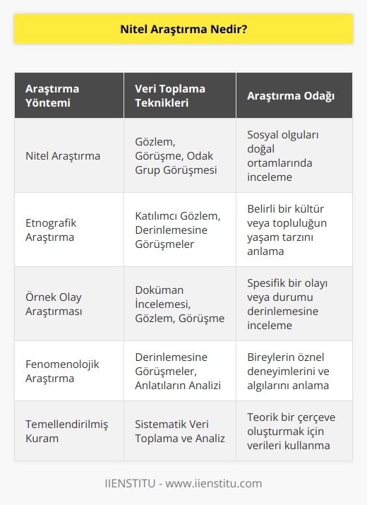 amaçlı hareket eden bir anlayışla sosyal olguları bağlı oldukları çevre içinde araştırmayı ve anlamayı planlayan bir yöntemdir. Sosyal olayların doğal ortam içerisinde bütüncül ve    bir bakış açısı ile ortaya konmasını sağlamaktadır. Veri toplama tipleri olarak gözlem, görüşme, odak grup görüşmesi, dokümanların incelenmesi, örnek olay araştırması, etnografik araştırma vb. kullanılır.