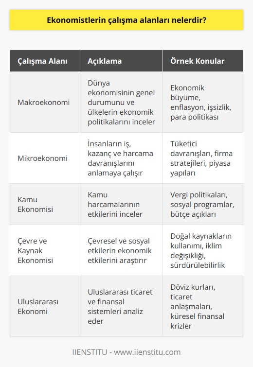 Ekonomistler çeşitli alanlara bakarak, çok sayıda faktörden etkilenen ekonomik süreçleri anlamaya ve öngörmeye çalışırlar. Ekonomistler, dünya ekonomisinin genel durumu üzerinde çalışabilir ve ülkelerin ekonomik politikalarını tasarlayabilir; insanların iş, kazanç ve harcama davranışlarını anlamaya çalışabilir ve kamu harcamalarının etkilerini inceleyebilir; mevcut ekonomik durumu ve trendleri analiz edebilir; çevresel ve sosyal etkilerin ekonomik etkilerini inceleyebilir; ve uluslararası ticaret ve finansal sistemleri anlayabilirler.