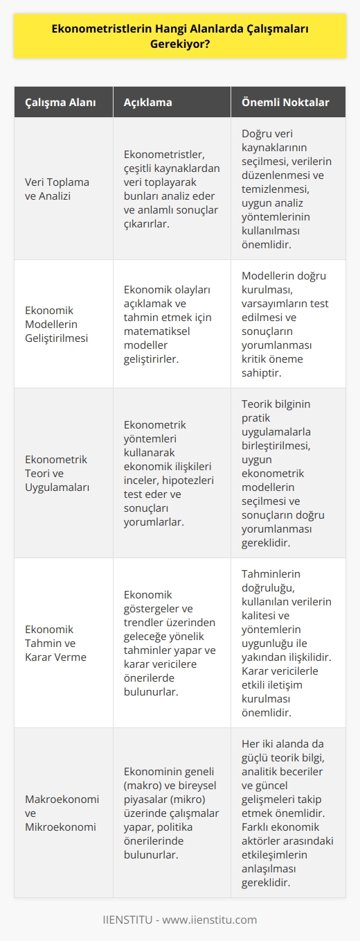 Ekonometristler, çeşitli alanlarda çalışmalar yapabilirler. Bu alanlar arasında veri toplama ve analizi, ekonomik modellerin geliştirilmesi, çeşitli veri kaynaklarının kullanımı, ekonometrik teorisi ve uygulamaları, ekonomik tahmin ve karar verme, makroekonomi ve mikroekonomi, istatistiksel analizler, finansal piyasalar ve çok fazla alan bulunmaktadır.
