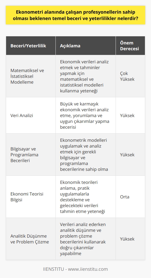 Ekonometri alanında çalışan profesyonellerin sahip olması beklenen temel beceri ve yeterlilikler, genelde matematiksel ve istatistiksel modelleme yetenekleri, yüksek    ve karmaşık ekonomik verileri analiz etme kabiliyetlerini içermektedir. Diğer gereklilikler arasında üstün bilgisayar becerisi, programlama dili bilgisi ve ekonomi modellerini anlama yeteneği yer alır.  Profesyonellerin ideal olarak, ekonomik teorileri anlama, onları pratik uygulamalarla destekleme ve gelecekteki verileri tahmin etme becerisine sahip olmaları beklenir. Bu sürecin sonucunda, uygun çıkarımların yapılarak stratejik ekonomik kararlar alınmasında önemli bir rol sahibi olurken, aynı zamanda mevcut modelleri uygulamada ve geçmiş verileri doğru bir şekilde analiz etme yetenekleri test edilir.  Ekonometristler, ekonomik verileri dikkatle analiz etmeli ve bulguları yorumlayabilmelidirler. Verilerin analizi ve bunların uygun ekonomik tahminler için kullanılması profesyonellerin temel görevlerinden biridir. Bu nedenle, beklentiler ve süreçler arasında güçlü bir ilişki kurma yeteneği,   analitik düşünmeanalitik düşünmeanalitik düşünmeanalitik düşünmeanalitik düşünmeanalitik düşünme ve problem çözme yetenekleri önemlidir.  Ayrıca, profesyonel becerilerini hammadde kaynakları ve insan gücünün etkin kullanımını sağlamak için kullanmalıdırlar. Bu, ekonomik modellerin oluşturulmasını ve değerlendirmesini, kaynakların etkin kullanımını sağlamak ve ekonomiye katkı sağlamak için makro ve mikro ekonomik modellerin uygulamaya yönelik araştırmalarını içerir.  Öte yandan, ekonometrist olarak kariyer yapmayı planlayanların, ekonometri bölümünde dört yıllık lisans eğitimini tamamlamaları gerekir. Bu, ekonometristler için gerekli olan mesleki nitelikler ve becerilere ek olarak, akademik bilgi ve araştırma yeteneklerini artırmalarına yardımcı olur.