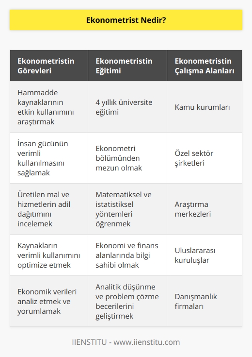 Ekonometrist, hammadde kaynakları ve insan gücünün, insanların ihtiyaçlarını karşılamada etkili bir şekilde kullanılması üzerine çalışmalar yapar. Üretilen mal ve hizmetlerin uygun koşullara göre bölüşülmesi ve bu kaynakların verimli olarak kullanılması konuları çerçevesinde ekonomi alanında araştırma faaliyetlerinde bulunur. Bu alanda    olan kişiler 4 yıllık ekonometri eğitimin tamamlamaları gerekiyor.