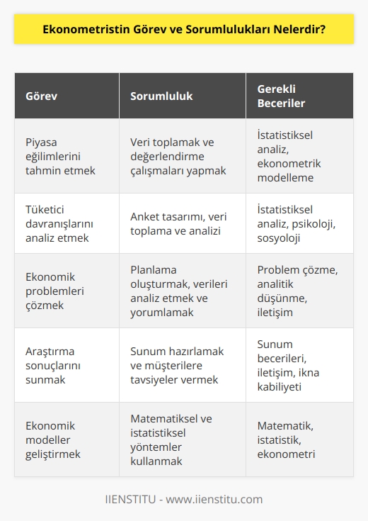 Ekonometrist, piyasa eğilimlerini tahmin etmek için veri toplamalı ve bunları değerlendirme çelışmaları yapmalı, tüketici davranışlarını analiz edebilmelidir. Herhangi bir ekonomik problemi çözmek için planlama oluşturmalı, verileri analiz etmeli ve yorumlama becerisi göstermelidir.   lı ve araştırma sonuçlarının sunumunu hazırlamalı aynı zamanda müşterilerin araştırma sonuçlarını nasıl yaşama geçireceklerine dair tavsiyeler vermelidir.