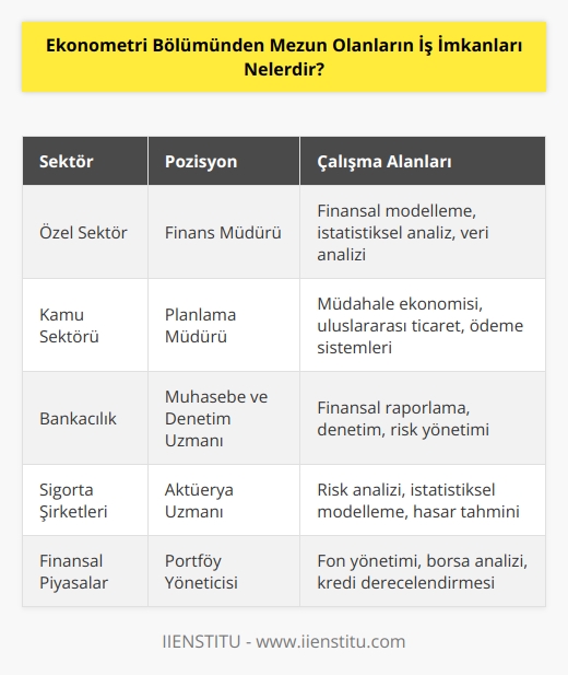 Ekonometri bölümünden mezun olanlar genellikle özel ve kamu sektöründeki işletmelerin finans, planlama, veri analizi ve pazarlamadan sorumlu müdürleri olarak çalışmaktadır. Ekonometri mezunları aynı zamanda veri analizi, finansal modelleme, istatistiksel analiz, bankacılık, müdahale ekonomisi, uluslararası ticaret veya ödeme sistemleri gibi alanlarda da çalışabilir. Ekonometri mezunları ayrıca kamu sektöründeki finansal kurumların ve özel sektördeki bankaların, sigorta şirketlerinin ve finansal aracı kurumların muhasebe, analiz ve denetim departmanlarında da çalışabilir. Ekonometri mezunları ayrıca, fon yönetimi, borsa ve finansal piyasa analizi, kredi derecelendirmesi, uluslararası finans ve portföy yönetiminde de çalışabilir.