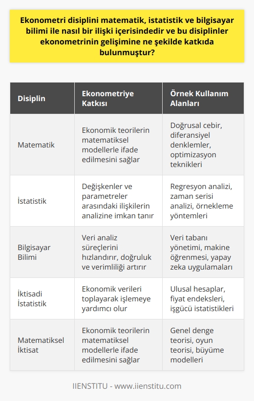 Ekonometri Disiplininin Matematik, İstatistik ve Bilgisayar Bilimi ile Olan İlişkisi  Ekonometri, ekonomik verilerin analizi ve değerlendirmesi için matematik, istatistik ve bilgisayar bilimi disiplinlerinden yararlanan bir bilim dalıdır. Bu disiplinler, ekonometriye sağladıkları yöntemler ile ekonomik ölçümlerin doğruluğunu ve güvenilirliğini artırmada önemli bir katkıda bulunmuştur.  Matematiksel ve İstatistiksel Yaklaşımların Ekonometriye Katkısı  Ekonometri disiplini, matematiksel teorisyen ve    ile yakından ilgilidir, bunlar ekonometrinin temel yapı taşlarıdır. Matematiksel iktisat, ekonomik teorilerin matematiksel modellerle ifade edilmesini sağlar, istatistik ise bu modellerde yer alan değişkenler ve parametreler arasındaki ilişkilerin analizine imkan tanır. İktisadi istatistik, ekonomik verileri toplayarak işlemeye yardımcı olurken, ekonometri ise bu verileri kullanarak iktisadi kuramların doğruluğunu test etmektedir.  Bilgisayar Biliminin Ekonometriye Katkısı  Bilgisayar bilimi, ekonometri disiplininin gelişiminde önemli bir rol oynamıştır. 1910lardan itibaren yazılım ve donanım gelişmeleri sayesinde, ekonometrik analizlerin gücü artmıştır. Günümüzde ekonometri analizleri bilgisayar ortamında gerçekleştirilmektedir, bu sayede veri analiz süreçleri hızlanır, doğruluk ve verimlilik artar.  Ekonometrinin İncelendiği Üç Ana Konu Başlığı  Ekonometri, genellikle üç ana konu başlığı altında incelenir. İlk olarak, ekonomik ilişkilerin incelenmesi ve değerlendirilmesi gerçekleştirilir. İkinci olarak, ekonomik davranışlarla ilgili önsavların test edilmesi söz konusudur. Son olarak, ekonomik büyüklükler için tahminler (yordama) yapılmaktadır.  Sonuç olarak, ekonometri disiplini, matematik, istatistik ve bilgisayar bilimi disiplinlerinden faydalanarak ekonomik verilerin analizini gerçekleştirir. Bu disiplinler, ekonometrinin gelişimine ve ekonomik ölçümlerin doğruluğuna önemli katkılar sağlamıştır, böylece daha sağlam ve güvenilir ekonometrik analizler yapılabilmiştir.