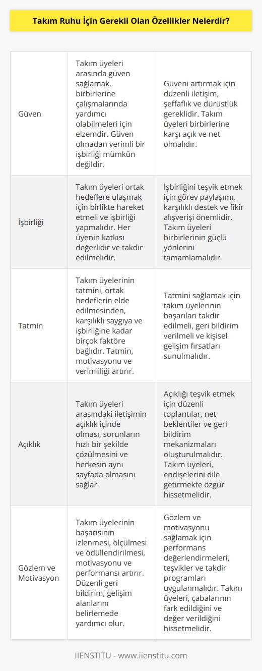 -Güven: Takım üyeleri arasında güven sağlamak önemlidir, böylece takım üyeleri birbirlerine çalışmalarında yardımcı olabilirler.  -İşbirliği: Takım üyeleri birlikte hareket etmeli ve işbirliği yapmalıdır.  -Tatmin: Takım üyelerinin tatmini sağlanmalıdır; ortak hedeflerin elde edilmesinden, karşılıklı saygıya ve işbirliğine kadar.  -Açıklık: Takım üyeleri arasındaki iletişimin açıklık içinde olması gerekir.  -Kabul: Takım üyelerinin her birinin katkılarını kabul etmeleri ve takım ruhunun gelişmesine katkıda bulunması gerekir.  -Gözlem: Takım üyelerinin başarısının izlenmesi ve ölçülmesi gerekir.  -Motivasyon: Takım üyelerinin motivasyonunu artırmak için ödüller ve teşvikler verilmelidir.