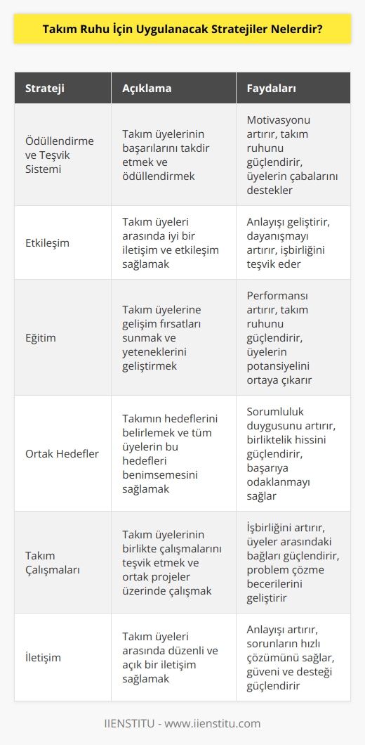 1. Ödüllendirme ve Teşvik Sistemi: Takımın üyelerinin çalışmalarının takdir edilmesi ve ödüllendirilmesi, takım üyelerinin motivasyonunu artıracak ve takım ruhunu güçlendirecek bir stratejidir.   2. Etkileşim: Takım üyelerinin birbirleriyle iyi bir etkileşim kurmasını sağlamak, takım üyelerinin birbirlerini anlamalarını ve birbirlerini desteklemelerini sağlar.  3. Eğitim: Takım üyelerini eğitmek, takım üyelerinin çalışmalarını geliştirmelerine yardımcı olur ve takım ruhunu güçlendirir.  4. Ortak Hedefler: Takımın hedefleri belirlemek ve bunların her üye tarafından kabul edilmesi takım üyelerinin birbirlerine karşı sorumluluklarının arttırılmasını sağlar ve takım ruhunu güçlendirir.  5. Takım Çalışmaları: Takım üyelerinin birlikte çalışmaları, takım üyelerini birbirleriyle daha iyi anlamalarını sağlar ve takım ruhunu güçlendirir.  6. İletişim: Takım üyelerinin birbirleriyle düzenli olarak iletişim kurmaları, takım üyelerinin birbirlerini anlamalarını ve birbirlerine destek olmalarını sağlar.