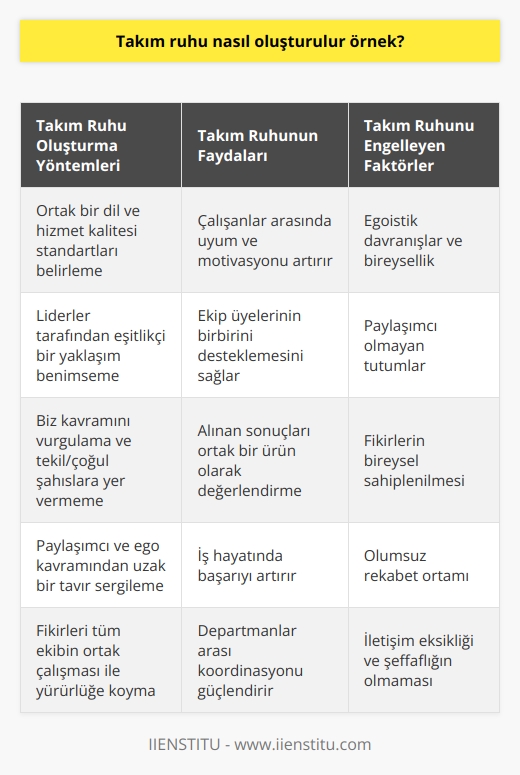 Takım Ruhu ve Başarı İlişkisi  İş hayatında başarılı olmada etkisi olan en önemli konu, uyum ve mutluluktur. Özellikle çok çalışanlı kurumlarda herkesin isteğine göre hareket etmek mümkün değildir. Bu nedenle, her iş alanı departmanlara ayrılarak ekipler oluşturulur ve bu ekiplerde takım ruhu bilinciyle hizmet verilmesi amaçlanır.  Etkili Takım Ruhu Nasıl Oluşturulur?  Takım ruhunun oluşmasında liderler büyük rol oynamaktadır. Liderler, kendi takımlarının çalışma planlarını hem mesleki kurallar, hem de şahsi tecrübelerden yola çıkarak, personelin kullanabileceği ortak bir dil ve hizmet kalitesini artırmayı amaçlar. Özellikle GSM operatörü şirketlerinde, takım ruhunun ve ortak çalışma biçiminin profesyonel bir şekilde uygulandığı görülmektedir.  Farklı Departmanlarda Takım Ruhu Oluşturma  Bir GSM şirketinde, Destek Merkezi, Kurulum Ekibi, Eğitmen Kadrosu, İnternet Hizmetleri, Telefon Hizmetleri, vb. birçok departmanda ekipler halinde çalışılmakta ve belirli standartlarda hizmet verilmektedir. Bu standartlar ekip çalışmasında takım ruhunu destekleyici nitelikte olan etik ilkeler çerçevesinde düzenlenir ve onaylanır.  Takım Ruhunun Mihenk Taşı: Uyum ve Motivasyon  Ekip çalışmasında başarılı olmak için psikolojik uyum, zihinsel ve fiziksel anlamda pozitif katılım göstermek çok önemlidir. Takım liderlerinin eşitlikçi bir yaklaşıma sahip olması ve ekip üyelerinin birbirini teşvik eden kişilerden oluşması motivasyonu olumlu yönde etkilemektedir. Ekip çalışmasında takım ruhunun temel unsuru biz kavramıdır ve diğer tekil ve çoğul şahıslara yer yoktur.  Ekip Çalışmasında Takım Ruhunu Taşımak  Takım ruhunu taşıyabilmek için, paylaşımcı ve ego kavramından uzak bir tavırda olunması gerekmektedir. Alınan olumlu ya da olumsuz her sonuç, ekip çalışmasında takım ruhunun ortak bir ürünü olarak değerlendirilir. Fikirler ise tüm ekibin ortak çalışması ile yürürlüğe girer ve fikir sahibinin biz algısını sürdürmesi gerekir.  Sonuç olarak, takım ruhunun oluşması iş hayatındaki başarının önemli bir unsuru olarak gözükürken, bu ruhu taşımak için liderlere ve ekip üyelerine büyük görevler düşmektedir. Eğer takım çalışmasında uyum ve motivasyon sağlanabilirse, başarı doğal olarak gelecektir.