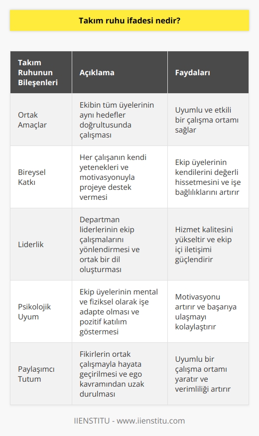 Takım Ruhu İfadesi Nedir ve Başarıya Etkisi  İş hayatında başarılı olmak adına, uyum ve mutluluk önemli konulardır. Takım ruhunun ifadesi, ekiplerin ortak amaçlar doğrultusunda hareket etmesi ve her bireyin kendi yetenekleri ve motivasyonu ile katkı sağlamasıdır. Çok çalışanlı kurumlarda herkesin isteğine göre hareket etmek mümkün olmadığından, yapılan işin bütünlüğü adına takım ruhunun sağlanması gerekmektedir.  Takım Ruhunun Oluşumu  Etkin bir takım ruhu oluşturulan işletmelerde, departmanlar belirli alanlara göre ayrılır ve her departmanda liderler belirlenerek, ekip çalışmaları gerçekleştirilir. Liderler, çalışma planlarını oluştururken, mesleki kurallar ve şahsi tecrübeleri dikkate alarak ortak dil oluşturur. Bu durum, hizmet kalitesinin temel esaslarından biri olan ortak dil olgusunu meydana getirir.  Psikolojik Uyum ve Etkileri  Ekip çalışmasında takım ruhunu sağlamak adına, psikolojik uyum ve pozitif katılım göstermek önemlidir. Takım liderlerinin eşitlikçi bir yaklaşımda olması, motivasyonu olumlu yönde etkiler. Takım ruhunun mihenk taşı ise biz kavramıdır ve bireysel bir yaklaşıma yer yoktur. Mental ve fiziksel olarak yapılan işe adapte olunmalı, başarılar ve başarısızlıklar ortak ürün olarak kabul edilmelidir.  Paylaşımcı ve Ego Kavramından Uzak Tutum  Ekip çalışmasında takım ruhunu oluşturan temel faktörlerden bir diğeri, paylaşımcı ve ego kavramından uzak tutumdur. Tüm fikirler, ekibin ortak çalışması ile yürürlüğe girer ve fikir sahibinin de biz algısını sürekli sürdürmesi gerekir. Bireysel ve egoist yaklaşımlar, takım çalışmasında başarıyı engellemekte ve uyum sorunlarına yol açmaktadır.  Sonuç olarak, iş hayatında takım ruhunun ifadesi, uyumlu ve mutlu bir çalışma ortamıdır. Takım çalışmasında her birey, yeteneklerini ve motivasyonunu kullanarak başarıya katkı sağlar. Bu durum, iş verimliliğini arttırarak şirketin başarı ve rekabet düzeyini yükseltir.