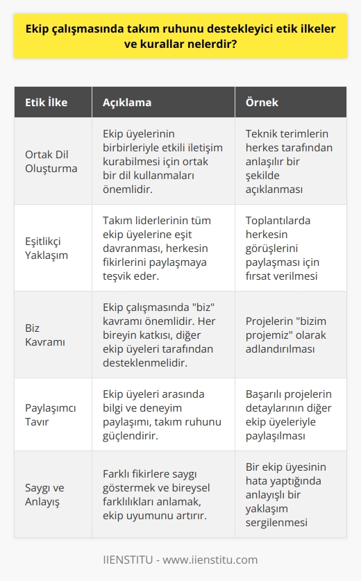 Ekip çalışması, iş hayatında başarıya ulaşmanın en etkili yollarından biridir. Bu bağlamda, çok çalışanlı kurumlarda, ekip çalışmasında takım ruhunu taşıyabilmenin etik ilkeler ve kuralları vardır. Ekip çalışmasında ortak dilin oluşturulması, hizmet kalitesinin esaslarından biri olup, hizmet alan kitlenin güven duymasında etkin bir rol oynar. Bu da, liderlerin, kendi takımlarının çalışma planlarını hem mesleki kurallar, hem de kişisel tecrübelerden derleyerek, personelin kullanabileceği ortak bir dil oluşturmasını gerektirir.  Destek Merkezi, Kurulum Ekibi, Eğitmen Kadrosu, İnternet Hizmetleri, Telefon Hizmetleri gibi çeşitli departmanlar ekipleriyle takım ruhunu taşır ve hizmetlerini verdikleri kitleye yönelik kurallar oluştururlar. Bu kurallar, ekip çalışmasında takım ruhunu destekleyici nitelikte olan etik ilkeler çerçevesinde düzenlenir ve onaylanır.   Ekip çalışması, iş yerlerinde pozitif ve verimli bir çalışma ortamı sağlar. Takım liderlerinin eşitlikçi bir yaklaşımla hareket etmeleri, ekip üyelerinin mental ve fiziksel olarak işe katılımlarını teşvik eder. Ekip çalışmasında takım ruhu, biz kavramı üzerine kurulur ve her bireyin katkısı, ekipteki diğer bireyler tarafından desteklenir.  Son olarak, ekip çalışmasında takım ruhunu destekleyici bir etik ilkeler ve kurallar seti oluştururken, paylaşımcı ve ego kavramından uzak bir tavır sergilenmeli ve herkesin fikirlerine saygı gösterilmelidir. Bu sayede, tek bir kişinin fikri bile, tüm ekibin ortak çabası ile uygulamaya geçer ve bu durum, fikir sahibinin biz algısını korumasını sağlar. Ben bu işe bakmıyorum, ben yalnız çalışıyorum, bu benim projem, bu benim fikrim... gibi bireyselci yaklaşımlar, ekip çalışmasında biz ruhunu taşıyamaz ve başarıyı engeller.  Eğitmen Kadrosu, İnternet Hizmetleri, Telefon Hizmetleri gibi çeşitli departmanlar ekipleriyle takım ruhunu taşır ve hizmetlerini verdikleri kitleye yönelik kurallar oluştururlar. Bu kurallar, ekip çalışmasında takım ruhunu destekleyici nitelikte olan etik ilkeler çerçevesinde düzenlenir ve onaylanır.   Sonuç olarak, ekip çalışması ve takım ruhu, kurumların başarısında önemli bir rol oynar ve bu süreçte etik ilkeler ve kuralların önemi büyüktür. Bu ilkeler ve kurallar, verimli bir çalışma ortamı sağlar ve hizmet kalitesini artırır.