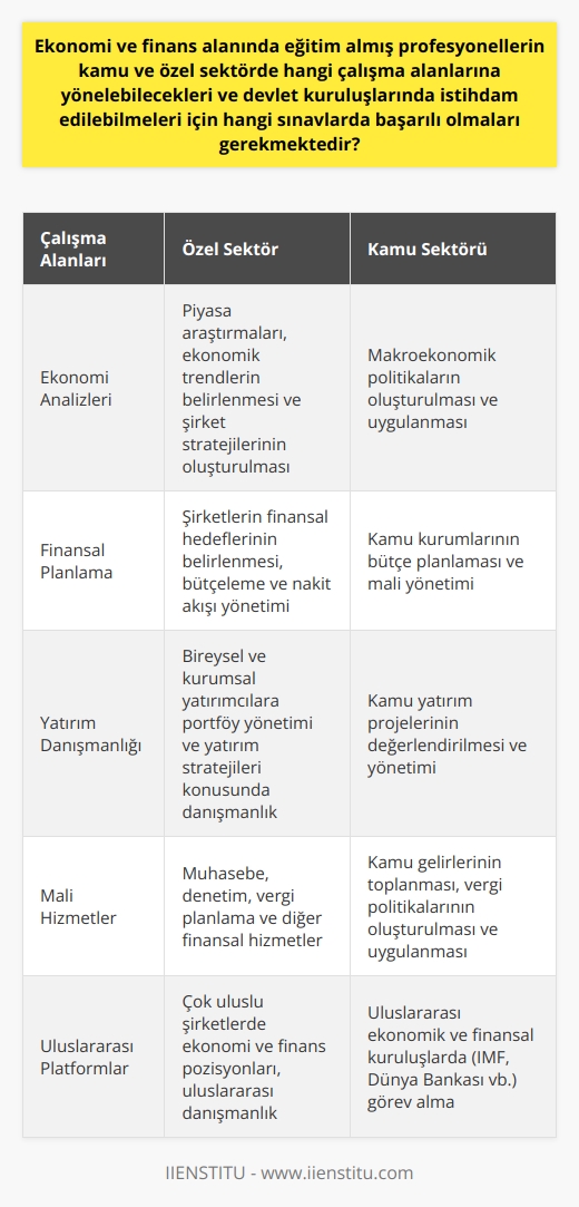Ekonomi ve finans alanında eğitim almış profesyonellerin hem özel hem de kamu sektöründe güçlü bir çalışma alanı bulunmaktadır. Özellikle küreselleşen dünyada bu alanda bilgi sahibi olan profesyonellerin değeri her geçen gün artmaktadır. Özel sektörde genellikle ekonomi analizleri, finansal planlama, yatırım danışmanlığı ve mali hizmetler gibi konular üzerine yoğunlaşırlar.  Kamu sektöründe ise, ekonomi ve finans profesyonelleri genellikle maliye bakanlıkları, merkez bankaları, devlet planlama teşkilatları ve benzeri kurumlarda istihdam edilirler. Özellikle maliye politikalarının uygulanması, ekonomik stratejilerin belirlenmesi ve özellikle finansal kaynakların yönetilmesi gibi konularda görev yaparlar. Bu kuruluşlarda istihdam edilmeleri için Kamu Personeli Seçme Sınavında (KPSS) belirlenen başarı düzeyine ulaşmaları gerekmektedir.  Kısacası, ekonomi ve finans sektöründe eğitim almış profesyonellerin çalışma alanları oldukça geniştir ve sadece kendi ülkelerinde değil, uluslararası platformda da yoğun talep bulmaktadırlar. Ayrıca bu alanda eğitim alan kişilerin, yüksek analitik düşünme yeteneği, matematiksel beceriler, pazar dinamiklerini anlama ve ekonomik eğilimleri tahmin etme yetenekleri, hem özel sektör hem de kamu sektöründe değerli kılarak başarılı olmalarını sağlamaktadır.