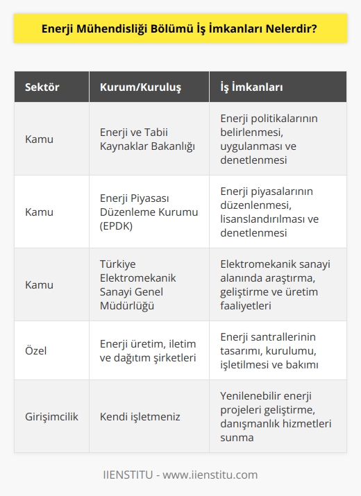 Devlet ve özel sektörde pek çok alanda iş bulabilme imkanınız var. Ayrıca üreteceğiniz projelerle birlikte kendi işletme sahibi olabilirsiniz. Bulacağı işler ise; Enerji ve Tabii Kaynaklar Bakanlığı, Enerji Piyasası Düzenleme Kurumu, Petrol İşleri Genel Müdürlüğü, Elektrik Üretim, Bor   , Türkiye Elektromekanik Sanayi Genel Müdürlüğü, Nükleer Enerji ve Yenilenebilir Enerji. 