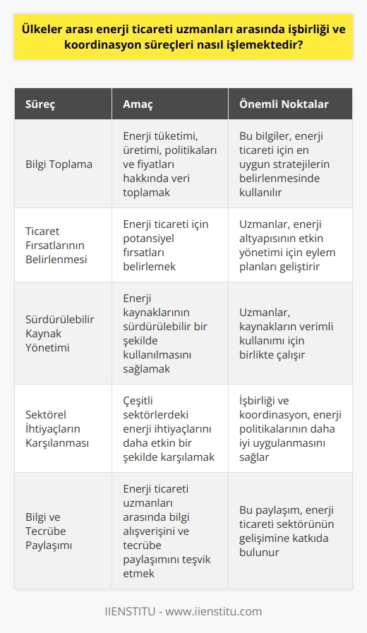 Ülkeler arası enerji ticareti uzmanları, enerji politikalarının belirlenmesi ve uygulanmasında temel bir rol oynarlar. Bu uzmanlar, enerji ticareti işlemlerini kolaylaştırmak ve etkin bir şekilde yönetmek amacıyla, bir dizi işbirliği ve koordinasyon süreçlerine dahil olurlar.  Enerji ticareti uzmanlarının işbirliği ve koordinasyon süreçleri, çok dikkatlice düzenlenmiş bir çerçeve içinde işler. İlk olarak, bu uzmanlar, enerji tüketimi ve üretimi, enerji politikaları ve enerji fiyatları gibi bir dizi konuda bilgi toplamak için birlikte çalışırlar. Bu bilgiler daha sonra, enerji ticareti için en uygun stratejileri belirlemekte kullanılır.   İşbirliği ve koordinasyon süreçlerinin bir diğer önemli yönü, ticaret fırsatlarını belirlemek ve enerji altyapısının etkin bir şekilde yönetilmesi konusunda eylem planları geliştirmektir. Enerji ticareti uzmanları, enerji kaynaklarının sürdürülebilir bir şekilde kullanılmasını sağlamak için de birlikte çalışırlar.  Bu süreçler, çeşitli sektörlerdeki enerji ihtiyaçlarını daha etkin bir şekilde karşılamak ve enerji politikalarını daha iyi bir şekilde uygulamak amacıyla, işbirliği ve koordinasyonla yönetilir. İşbirliği ve koordinasyon süreçleri, enerji ticareti uzmanları arasında bilgi alışverişini ve tecrübe paylaşımını teşvik eder. Bu nedenle, bu süreçler enerji ticareti sektöründe çok önemlidir.  Sonuç olarak, enerji ticareti uzmanları arasında işbirliği ve koordinasyon süreçleri, hem enerji tüketimi ve üretimi hem de enerji politikalarının etkin yönetilmesi açısından büyük önem taşır. Bu süreçler, enerji ticareti uzmanlarına enerji ticaretini maksimize etmekte ve enerji kaynaklarını sürdürülebilir bir şekilde yönetmekte yardımcı olur.