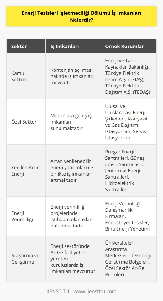 Enerji Tesisleri İşletmeciliği bölümü mezunları kamu alanında kontenjan açılması halinde iş bulabilir. Özel sektör ise mezunlara güzel imkanlar sunmaktadır. Ulusal ve Uluslararası Enerji şirketleri, Akaryakıt ve Gaz Dağıtım İstasyonları, Servis İstasyonları çalışma alanlarına örnek olarak verilebilir.