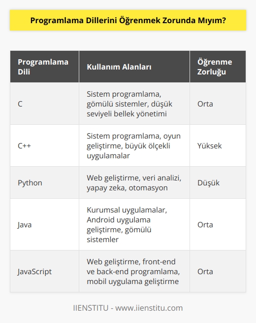 Eğer bir güvenlik açığını kodlar üzerinden tespit etmek istiyorsanız   ni bilmeniz gerekir.