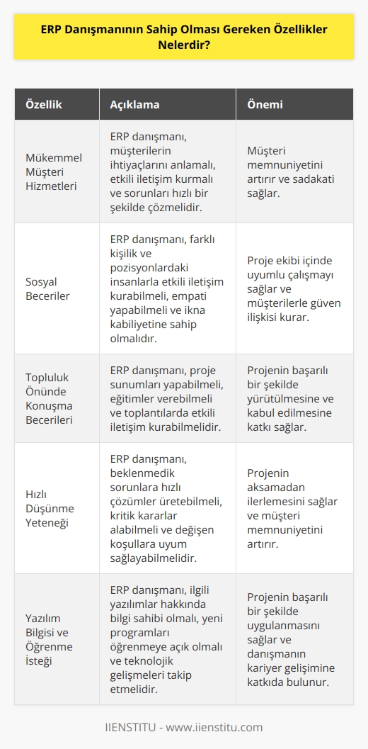 ERP danışmanı, mükemmel müşteri hizmetleri, sosyal beceriler ve topluluk önünde konuşma becerileri göstermeli aynı zamanda   ne sahip olmalıdır. Bu alanda hızlı düşünen bir birey olmak oldukça önemli bir mesleki niteliktir. Yazılım bilgisine sahip olmalı, yeni programlar eklendiğinde,    bilgisi ile öğrenmeye hazır olmalıdır.