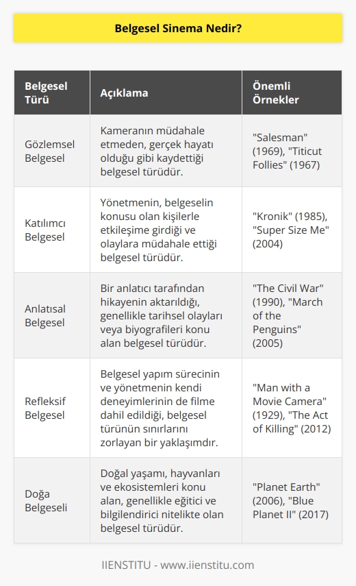 Belirli konular üzerinde yapılan araştırmaların sonuçlarının estetik kaygılarla seyirciye yansıtılmasına dayanan bir sinema türüdür.