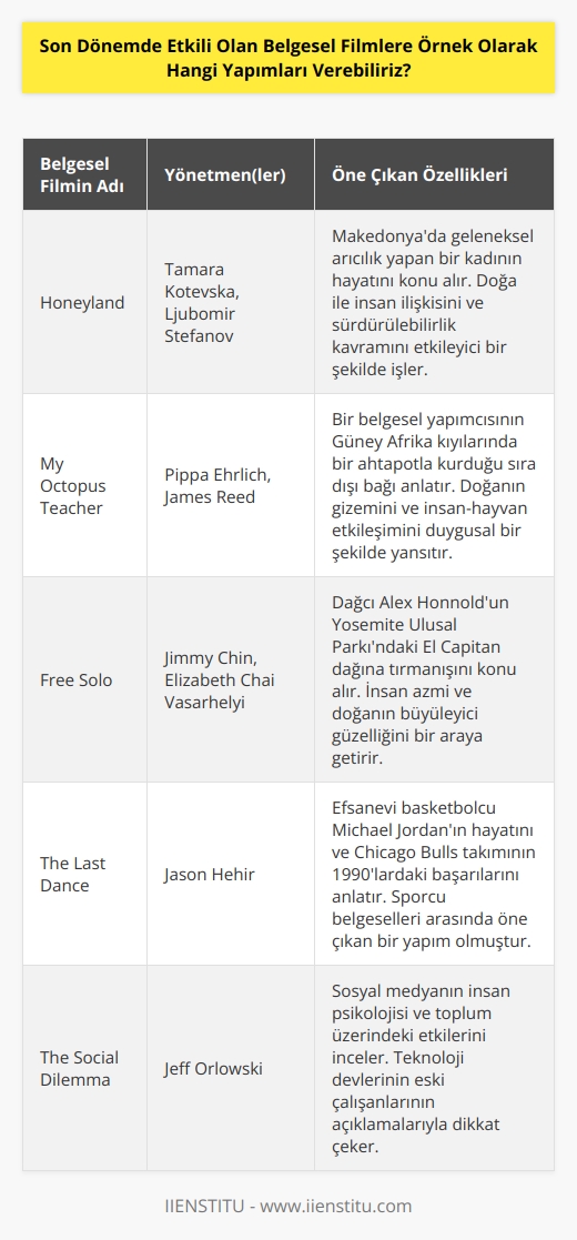 Son dönemde dikkat çeken ve Oscar adayı olan ‘Honeyland’ ve Oscar ödülü alan My O  pus Teacher’ filmlerini örnek olarak verebiliriz.