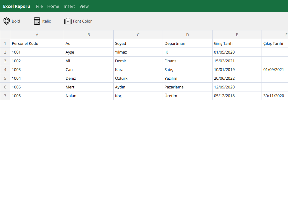 İK Giriş Seviyesi Excel Raporu