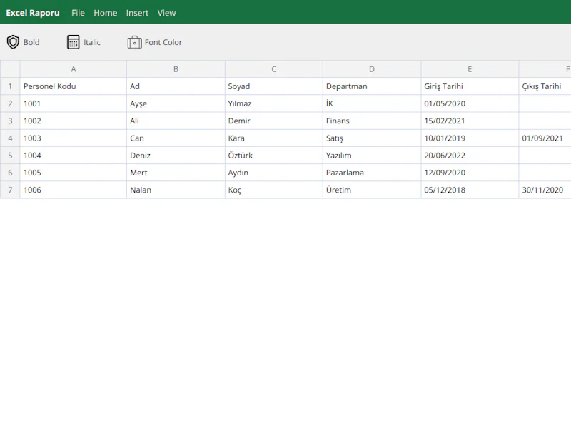 İK Giriş Seviyesi Excel Raporu