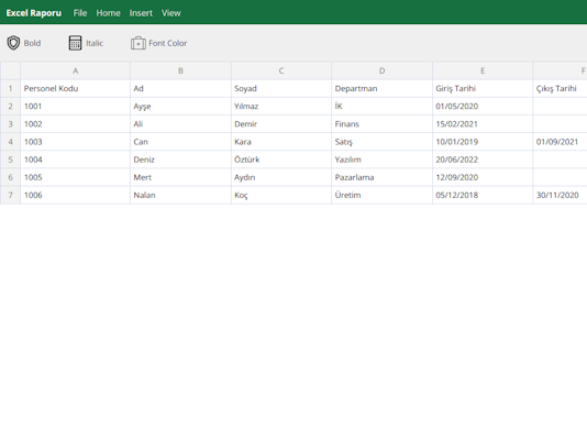 İK Giriş Seviyesi Excel Raporu
