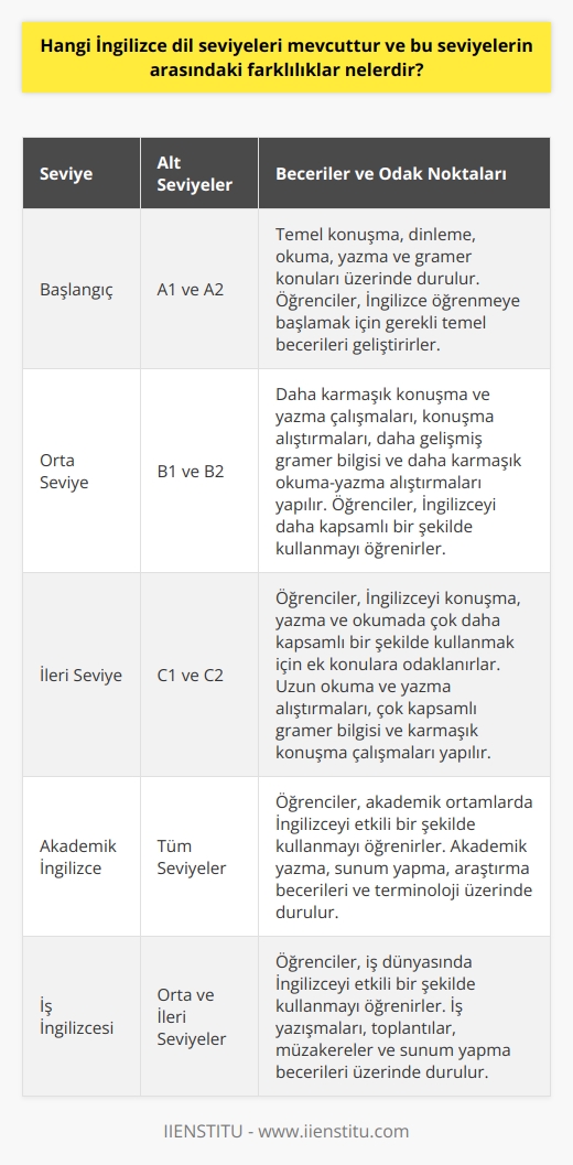 Genel İngilizce dil seviyeleri şunlardır: Başlangıç (A1 ve A2), Orta Seviye (B1 ve B2), İleri Seviye (C1 ve C2).  Başlangıç seviyesindeki öğrenciler İngilizce öğrenmek için temel konuları öğrenmeye ve temel yaklaşımları geliştirmeye çalışır. Bu seviye, konuşma, dinleme, okuma, yazma ve gramer konularını içerir.  Orta seviye, öğrencilerin İngilizceyi daha kapsamlı bir şekilde kullanmalarını sağlar. Bu seviye, daha karmaşık konuşma ve yazma çalışmaları, konuşma alıştırmaları, daha gelişmiş gramer bilgisi ve daha karmaşık okuma yazma alıştırmalarını içerir.  İleri seviyedeki öğrenciler, İngilizceyi konuşmada, yazmada ve okumada çok daha kapsamlı bir şekilde kullanmak için ek konulara odaklanır. Bu seviye,   , uzun okuma ve yazma alıştırmaları, çok kapsamlı gramer bilgisi ve karmaşık konuşma çalışmalarını içerir.