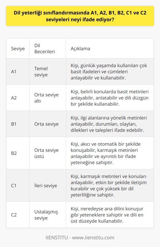 Dil yeterlilik sınıflandırmasında, dil yeteneklerinin ayrıntılı ve anlamsal bir şekilde ifade edilmesi için A1den C2ye kadar altı seviye belirlenmiştir. Bu seviyeler Avrupa Dil Öğretim Yeterlilikleri Çerçeve Sistemi (CEFR) ile tanımlanmış olup, dil öğreniminde ve dil seviyesi belirleme süreçlerinde uluslararası standartları belirlemektedir.  A1 seviyesi, kişinin dil eğitimine yeni başladığı ve günlük yaşamda kullanılan çok basit ifadeleri ve cümleleri anlamasını ve kullanabilmesini ifade eder. A2 seviyesi, kişinin belirli konularda basit metinleri anlama ve anlatabilme, geniş bir kelime dağarcığına ulaşarak dilin düzgün bir şekilde kullanılabilme yeteneğine işaret eder.  B1 seviyesi, kişinin ilgi alanlarına yönelik metinleri anlayabilme, durumları ve olayları, dilek ve talepleri ifade etme yeteneğini sembolize eder. B2 seviyesinde, akıcı ve otomatik bir şekilde konuşabilme, karmaşık metinleri anlayabilme ve ayrıntılı bir ifade yeteneği bulunur.  C1 seviyesi, dil kullanımında en yüksek düzeylerden birini temsil eder. Bu seviyedeki bir kişi, karmaşık metinleri ve konuları anlama yeteneği ve etkin bir şekilde iletişim kurabilme yeteneği ile çok yüksek bir dil yeterliliğine sahip olur. Bu seviyenin hemen üzerinde yer alan C2 seviyesi ise kişinin neredeyse ana dilini konuşur gibi yeteneklere sahip olduğu anlamına gelir.   Özetle, bu sınıflandırmalar dil yeterliliği düzeylerini belirlerken, aynı zamanda dil öğreniminde bir yol haritası sunar. Dil sınıflandırmasının bu sistematik yaklaşımı, öğrencinin dil öğrenimindeki ilerlemesini daha ölçülür ve anlaşılır kılar. Seviye tespitlerinin doğru bir şekilde gerçekleştirilmesi, bu nedenle, öğrencinin ilerlemesini takip etme ve ders içeriklerini planlama açısından büyük öneme sahiptir. Her seviyenin belirli bir dili ne kadar iyi anlama ve kullanabilme becerisini temsil ettiğini anlamak, dil öğretiminde ayrı şaşırtıcı öneme sahiptir. Bu hedefler belirlendiğinde, her seviyede dil becerilerinin artırılması ve pratik uygulamalarının desteklenmesi faaliyetleri daha tutarlı ve verimli bir şekilde düzenlenebilir.