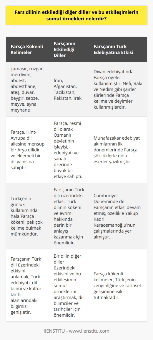 Fars dilinin etkisi ve bu etkileşimlerin örnekleri üzerine derinlemesine bir araştırma yapmak, Türk dilinin kökeni ve geçmişi hakkında anlayışı genişletmek adına önemlidir. Fars dilinin Türk ve Osmanlı dili üzerinde büyük bir etkisi olmuştur. Osmanlının fethinden önce, resmi dil Farsça idi ve devletin işleyişi, edebiyatı ve sanatı üzerinde büyük bir etkisi vardı. Divan edebiyatının dilinde Farsça öğeleri de bulabiliriz. Dönemin önde gelen şairleri olan Nefî, Bakî ve Nedim, şiirlerinde bolca Farsça kelime ve deyim kullanmışlardır.   Muhafazakâr edebiyat akımlarının ilk dönemlerinde Farsça sözcüklerle dolu eserler yazıldı ve bu dönemin eserleri, Fars dilinin Osmanlı dil ve edebiyatı üzerindeki etkisini görmek için mükemmel bir referanstır. Bu etki, Cumhuriyet Döneminde de devam etmiş ve özellikle Yakup Kadri Karaosmanoglunun çalışmalarında yer almıştır. Bugün bile, Türkçenin günlük kullanımında Farsça kökenli pek çok kelime bulmak mümkündür. Çamaşır, rüzgar, merdiven, abdest, abdesthane, ateş, duvar, beygir, sebze, meyve, ayna ve meyhane gibi kelimeler Farsça kökenlidir.  Farsça dilini konuşan ülkeler arasında İran, Afganistan, Tacikistan, Pakistan ve Irakı sayabiliriz. İran, hint-avrupa dil ailesine mensup bir Arya dilidir ve Hint-Avrupa dil ailesine aittir. Bu dil ailesinde yer alan diller, genel olarak eklemeli bir dil yapısına sahiptir, yani kelime kökleri ve eklerin belirli bir uyum içinde bir araya gelmesiyle yeni kelimeler oluşturulur.  Sonuç olarak, Fars dili ve bu dilin Türk dili üzerindeki etkisi, Türk dilinin kökeni ve evrimi üzerine derinlemesine bir anlayış kazanmak adına önemli bir konudur. Türk dilinin bu etkileşimi, Türk edebiyatı, dil bilimi ve kültür tarihi alanlarındaki bilgimizi genişletebilen bir konu olarak kalmaya devam edecektir. Bu nedenle, bir dilin diğer diller üzerindeki etkisini anlamak ve bu etkileşimin somut örneklerini araştırmak, dil bilimciler ve tarihçiler için hayati öneme sahip bir konudur.