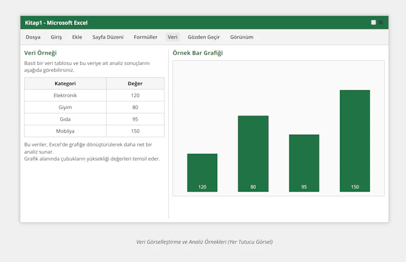 Veri Görselleştirme ve Analiz Örnekleri