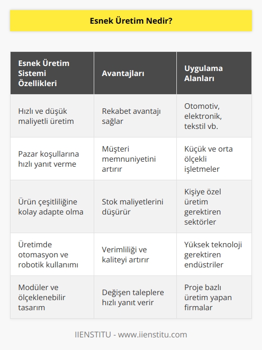 Üretilecek olan ürünü kaliteli, hızlı ve düşük maliyetli ortaya çıkarma işlemidir. Pazar koşulları ve çevreden gelen isteklere hızlı cevap verme yeteneğine sahip olması ile ön plana çıkan bir sistemdir. Bir üründen diğerine geçişte zaman kaybı yaşamadan diğer ürünü üretebilme yeteneği sergileyen sistemdir.