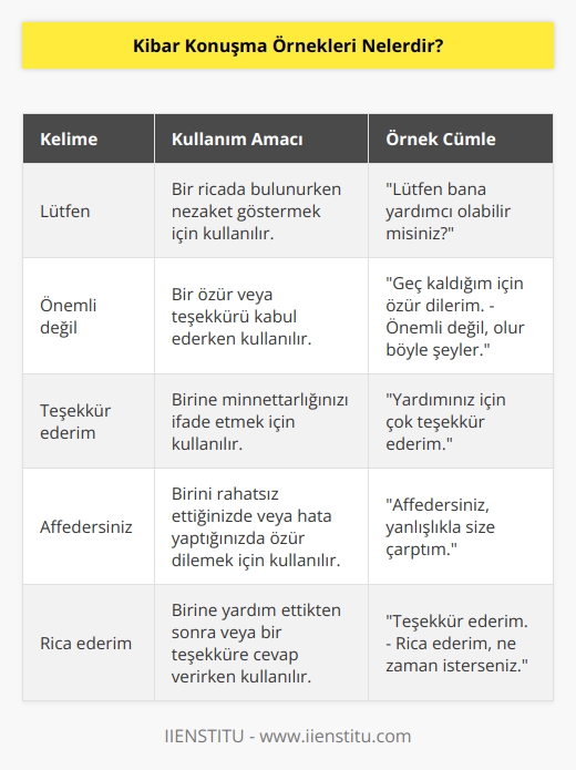 Herhangi bir dilde insanlarla iletişim kurarken güzel ve kibar konuşmak önemlidir. Bunun için hatırlamanız gereken bazı ipuçları bulunmaktadır. Lütfen, önemli değil, teşekkür ederim, affedersiniz gibi kelimeler kibar    arasında yer almaktadır.
