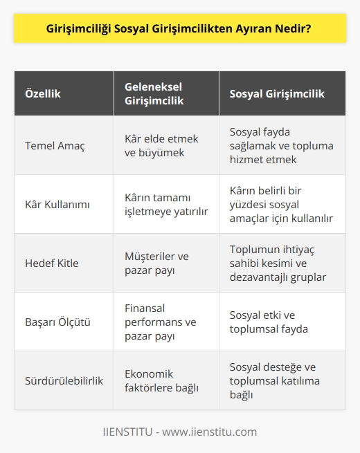 Sosyal girişimci, sosyal amacı destekleyecek şekilde kazancının örneğin %50 gibi belli bir kısmını sosyal amaçlar için kullanan kişiler olarak adlandırılır. Asıl amaçları aslında daha fazla kar elde etmekten çok sosyal bir fayda oluşturmak ve insanların dikkatini bu yöne çekmektir.