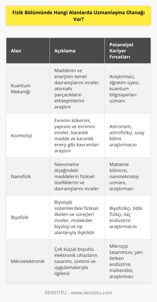 Fizik Bölümünde, öğrenciler genellikle alanlar arasında seçim yapma olanağına sahiptir. Seçilen alanlar arasında, kuantum mekaniği, kozmoloji, astrofizik, nanofizik, atom fiziği, kuantum optiği, akustik, biyofizik, füzyon, mikroelektronik, manyetizm ve fiziksel büyüme alanları yer almaktadır.