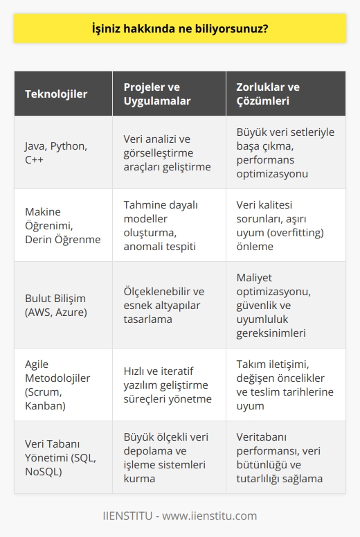 İşim hakkında çok şey biliyorum. İşimde kullandığım teknolojileri, yürüttüğüm projeleri, uygulamaları ve süreçleri yakından takip ediyorum. Ayrıca, çalışırken karşılaşabileceğim zorlukların çözümleri hakkında da bilgim var.