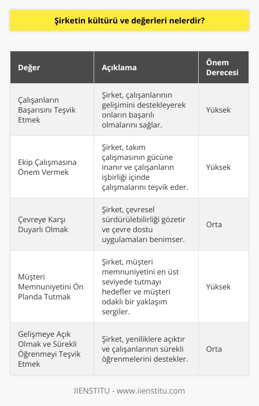 Şirketin kültürü ve değerleri, çalışanlarının başarısını teşvik etmek, ekip çalışmasına önem vermek, çevreye karşı duyarlı olmak, müşteri memnuniyetini ön planda tutmak, gelişmeye açık olmak ve sürekli öğrenmeyi teşvik etmektir. Bunların yanı sıra, şirket özgüvene, saygıya, iyi iletişime ve üretkenliğe de önem vermektedir.