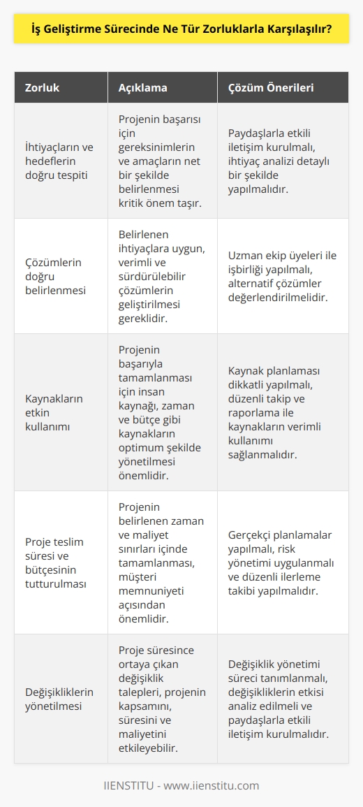 İş geliştirme sürecinde karşılaşılan zorluklar arasında öncelikle, ihtiyaçların ve hedeflerin doğru tespiti, çözümlerin doğru belirlenmesi, kaynakların etkin kullanımı, projenin teslim süresinin ve bütçesinin tutturulması, kaliteyi sağlamak, karşılıklı anlayış ve uyum sağlanması, değişikliklerin yönetilmesi ve değişikliklerin yönetilmesi sayılabilir.