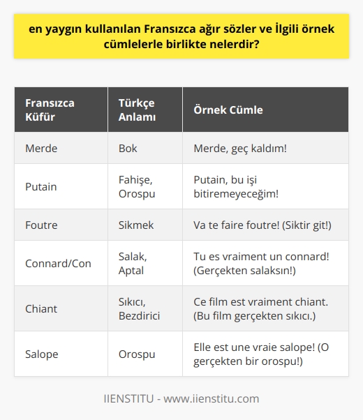 Fransızca Küfürlü İfadeler ve Örnek Cümleler  Fransızca küfürlü ve argo ifadeler de aşina olduğumuz Türkçe küfürler gibi konuşmanın belirli noktalarında kullanılır. Yazımızda, Fransızcanın en yaygın kullanılan küfürlü ifadelerine ve bu ifadelerle ilgili örnek cümlelere yer verilecektir.   1. Merde: Türkçedeki bok kelimesine denk gelen bu sözcük, şaşkınlık veya öfke anında sıklıkla kullanılır. Ayrıca, değiştir veya boşver anlamında da kullanılır.  Örnek: Merde, geç kaldım!   2. Putain: Türkçedeki fahişe veya orospu anlamına gelir ve özellikle sinirlenildiğinde bir serzeniş olarak kullanılır.  Örnek: Putain, bu işi bitiremeyeceğim!  3. Foutre: Bu sözcük, Türkçedeki sikmek fiiline denk gelir ve Fransızcada genellikle argo ve küfürlü bir tabir olarak kullanılır.  Örnek: Va te faire foutre! (Siktir git!)  4. Connard/Con: Türkçedeki salak veya aptal anlamına gelir ve Fransızcada genellikle aşağılama amacıyla kullanılır.  Örnek: Tu es vraiment un connard! (Gerçekten salaksın!)  5. Chiant: Türkçedeki sıkıcı veya bezdirici anlamlarına gelir ve Fransızcada eleştiri ve rahatsızlık belirten bir sıfat olarak kullanılır.  Örnek: Ce film est vraiment chiant. (Bu film gerçekten sıkıcı.)  6. Salope: Türkçedeki orospu anlamına gelir ve Fransızcada genellikle aşağılama ve eleştiri amacıyla kullanılır.  Örnek: Elle est une vraie salope! (O gerçekten bir orospu!)  Bunlara ek olarak, Fransızcada çeşitli küfürlü ve argo deyimler de kullanılır ve bu sözcüklerin anlamları bağlamda farklılık gösterebilir. Özellikle gençler arasında popüler olan bu ifadeler, bazen espri amaçlı kullanılırken, bazen de öfke ve rahatsızlık anında söylenmektedir. İletişimde bu tür ifadelerin kullanılmasına dikkat etmek, anadilini öğrenenler ve farklı kültürleri tanımak isteyenler için önemlidir.